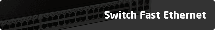 Switch Fast Ethernet